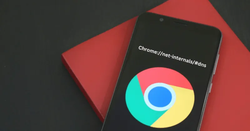 What is Chrome net internals DNS?